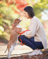 犬を飼っている女性の写真