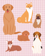 犬のイラストコレクション